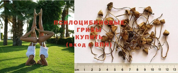 ALPHA PVP Беломорск