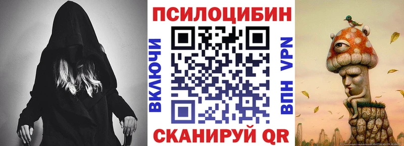 Купить закладки  Изобильный  Галлюциногенные грибы Psilocybe 
